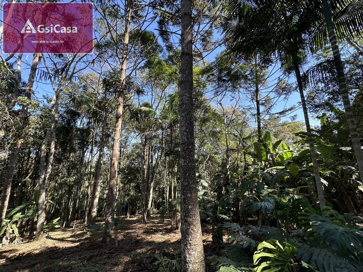 Fazenda à venda com 3 quartos, 300m² - Foto 20