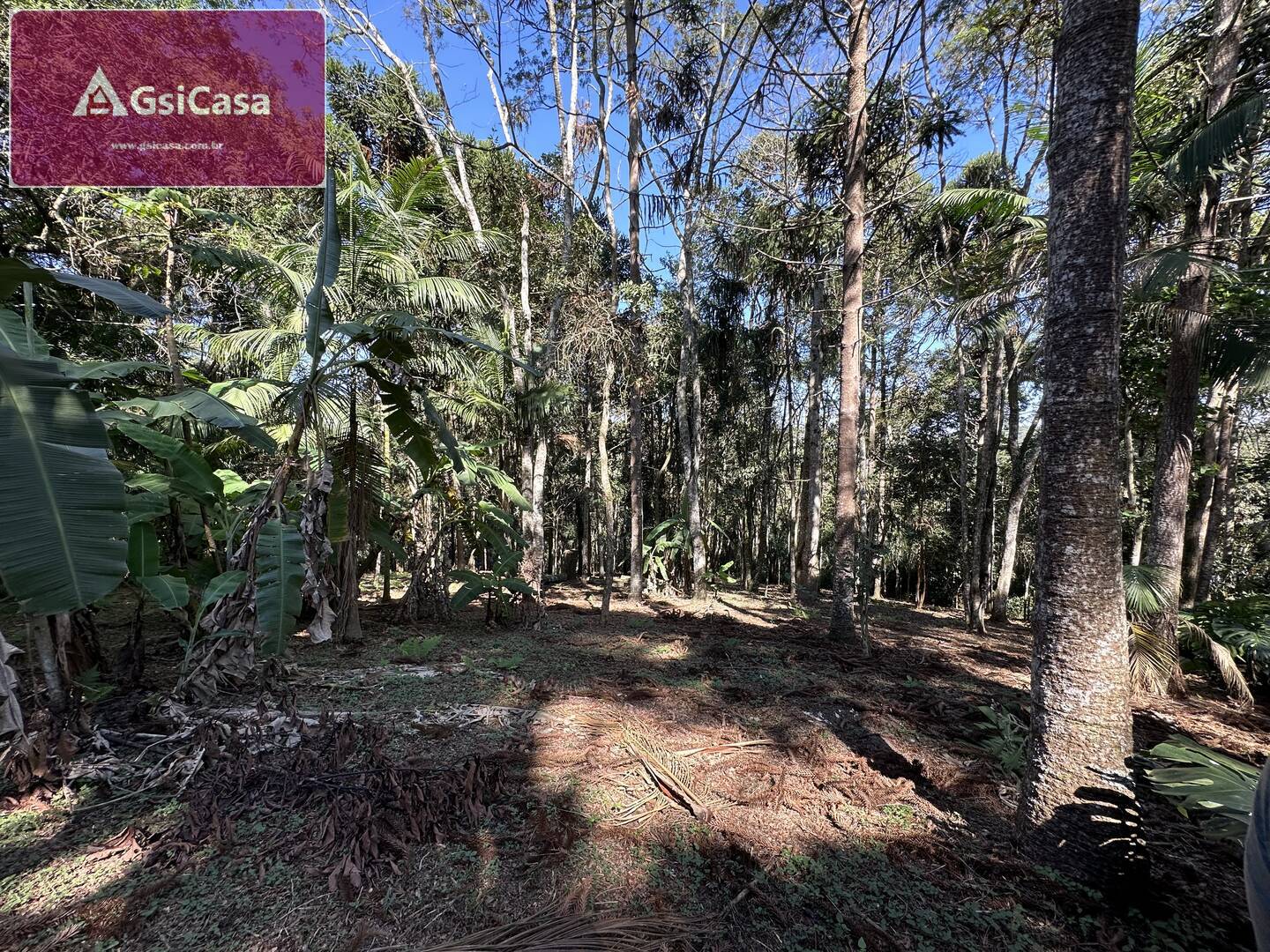 Fazenda à venda com 3 quartos, 300m² - Foto 35