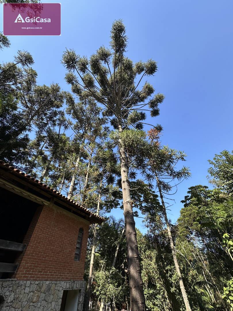 Fazenda à venda com 3 quartos, 300m² - Foto 58